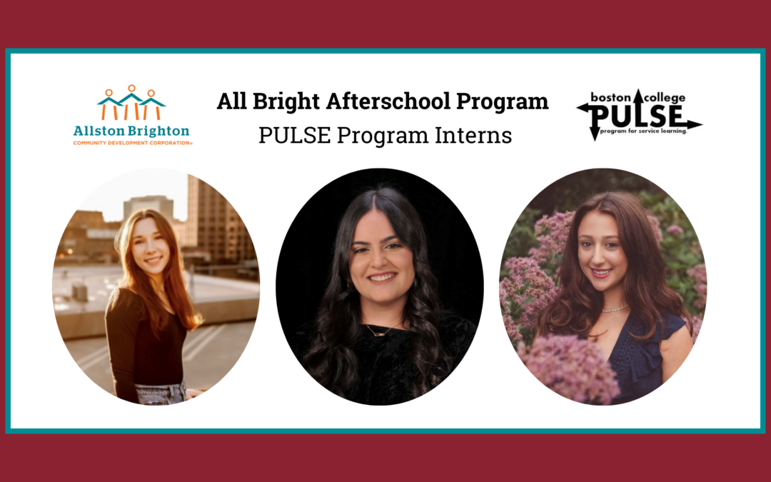 Meet Our Boston College PULSE Interns